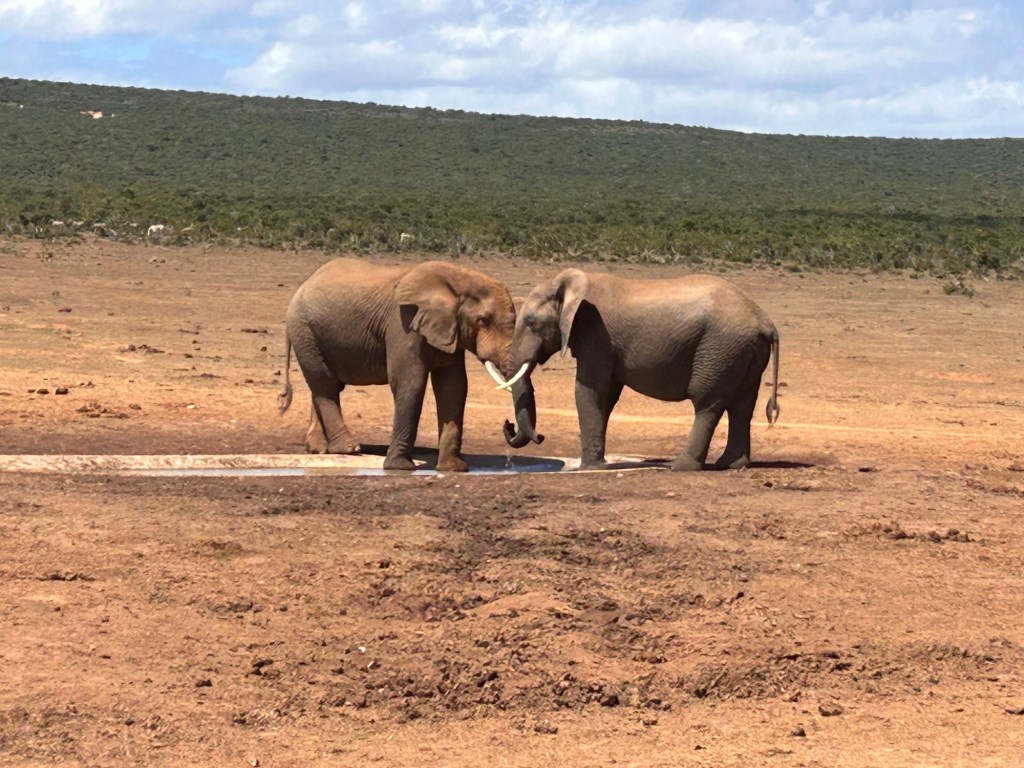 Port Elizabeth, South&nbsp;Africa